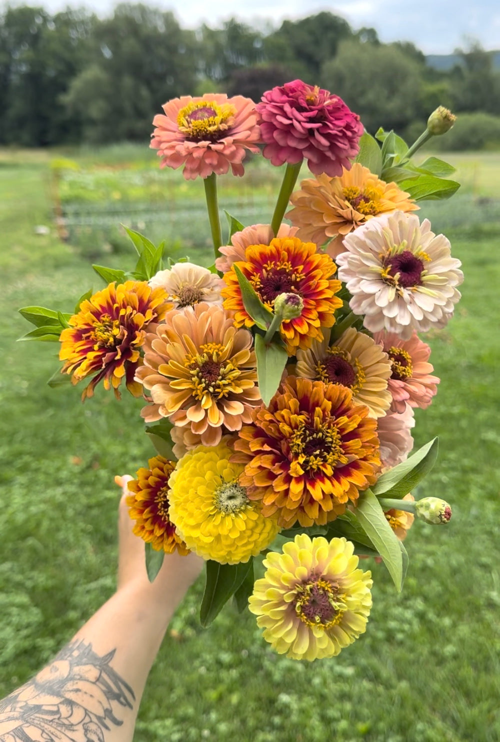 From Our Farm - Zinnia Bunch
