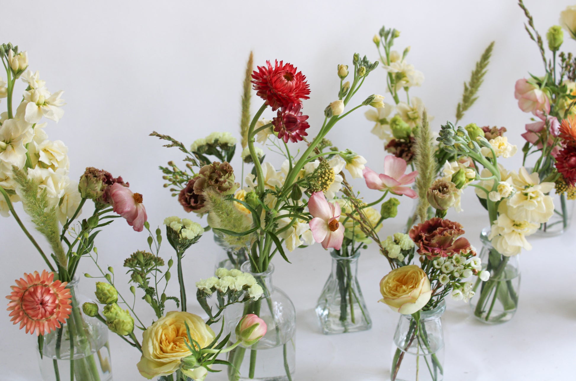 Bud Vase Collection