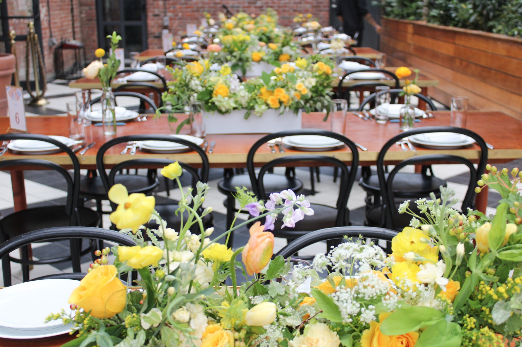 Field Trip Flowers Farm and Florist Chester, NY