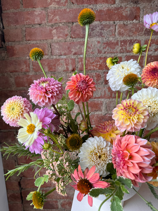 Designing with Dahlias