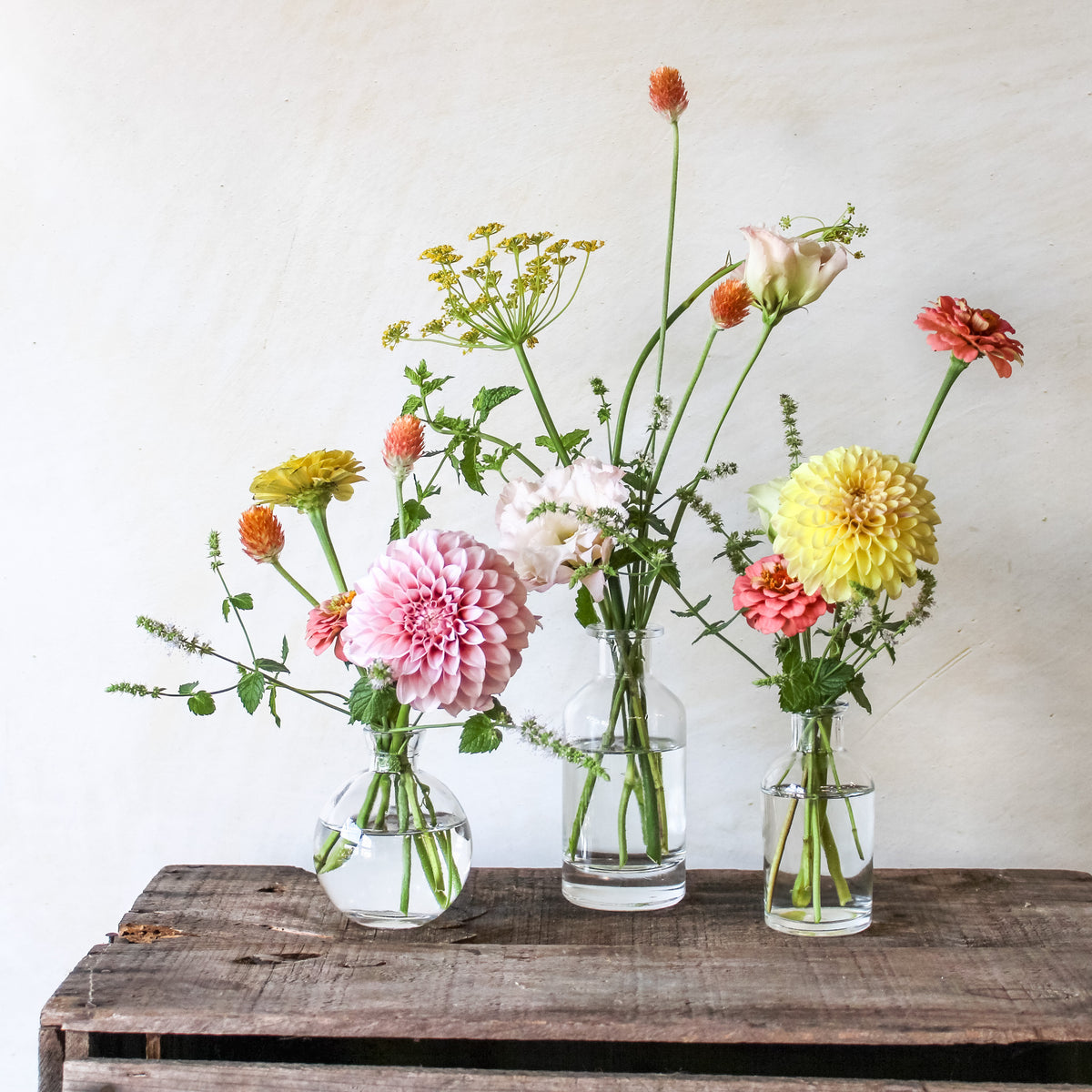 Bud Vase Collection