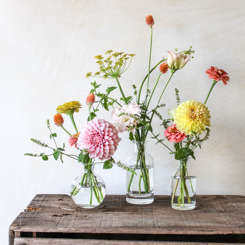Bud Vase Collection