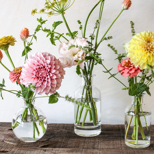 Bud Vase Collection