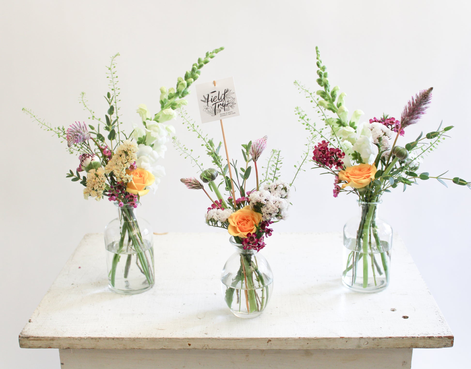 Bud Vase Collection